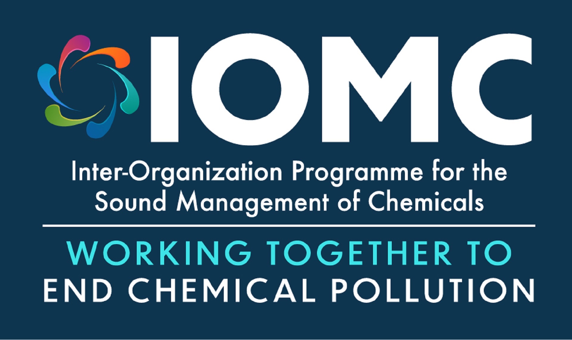 Logo Inter-Organization Programme for the Sound Managem of Chemicals