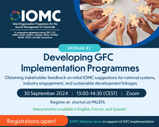 IOMC webinar 2 flyer